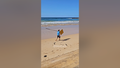 Man killed by 'large shark' at Sydney beach - Fox News